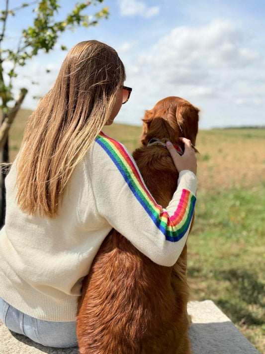 Dos pull femme col V avec rayures arc-en-ciel