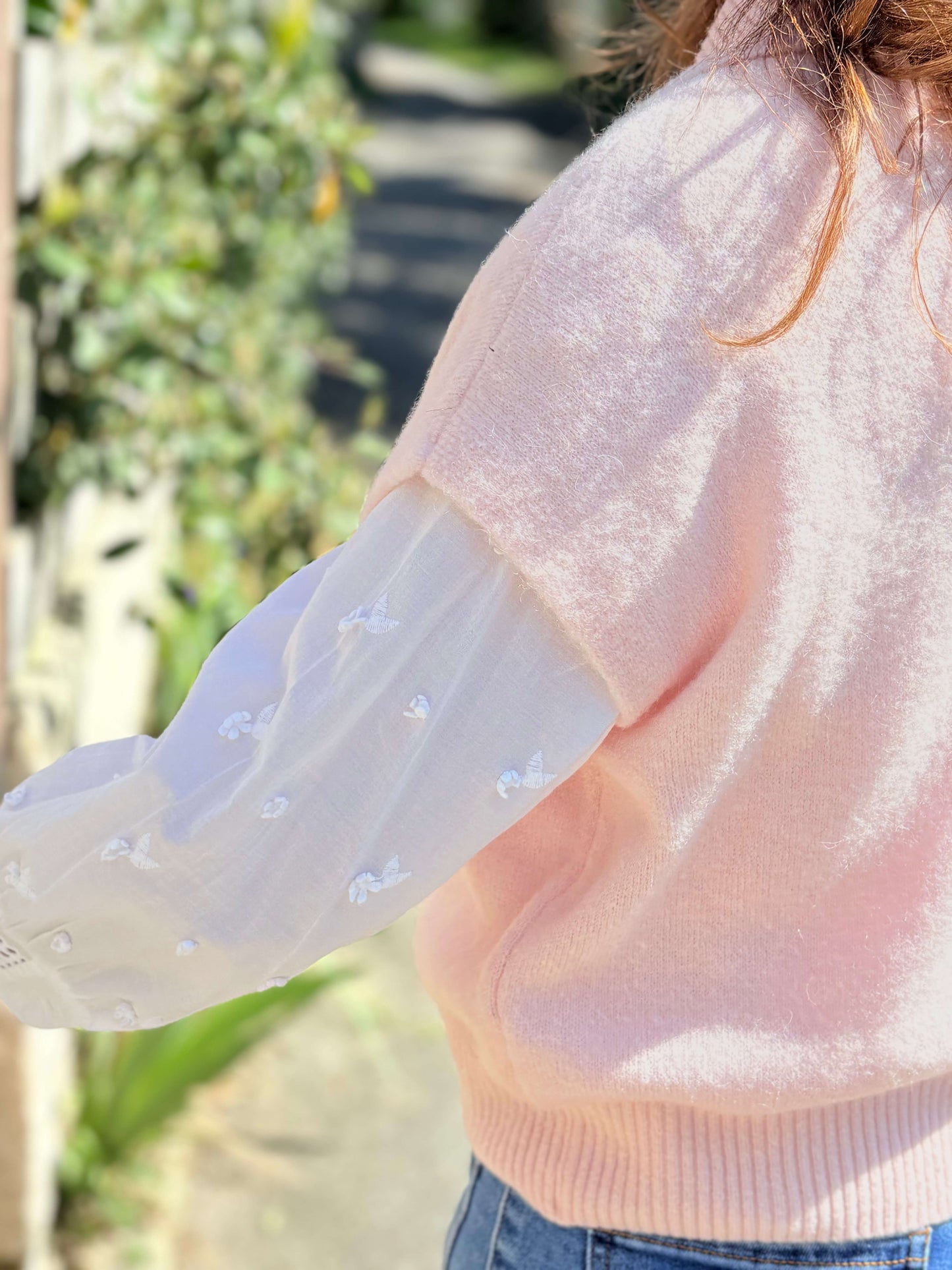 Pull OSCAR rose