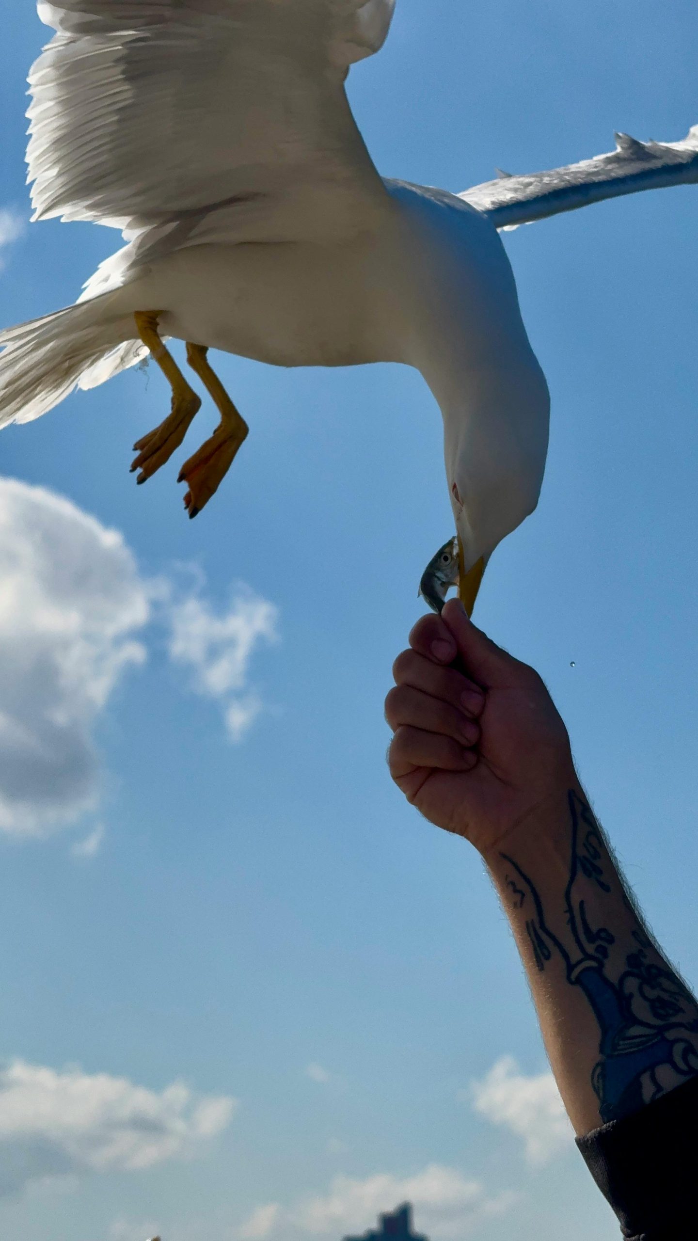 Tatouage liberté quel style vous correspond