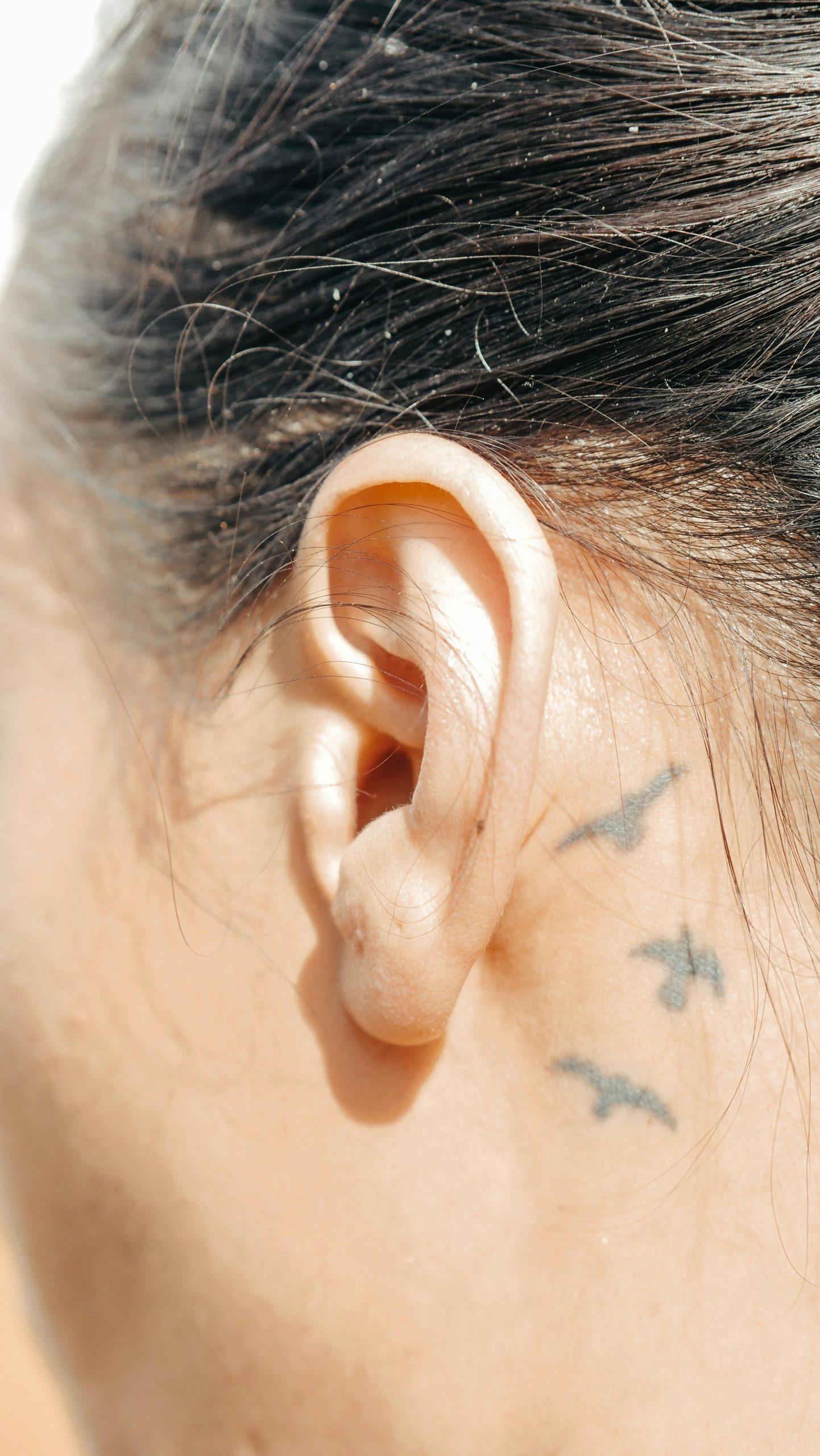 Gros plan détaillé d'une oreille humaine avec de petits tatouages d'oiseaux. Éclairage chaud.