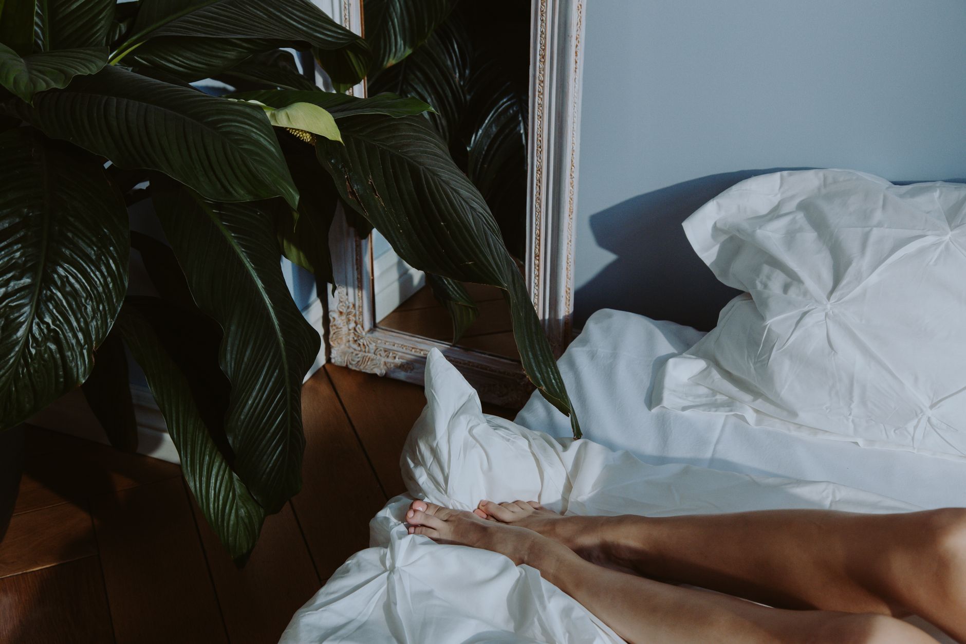 Chambre paisible avec plante verte le matin