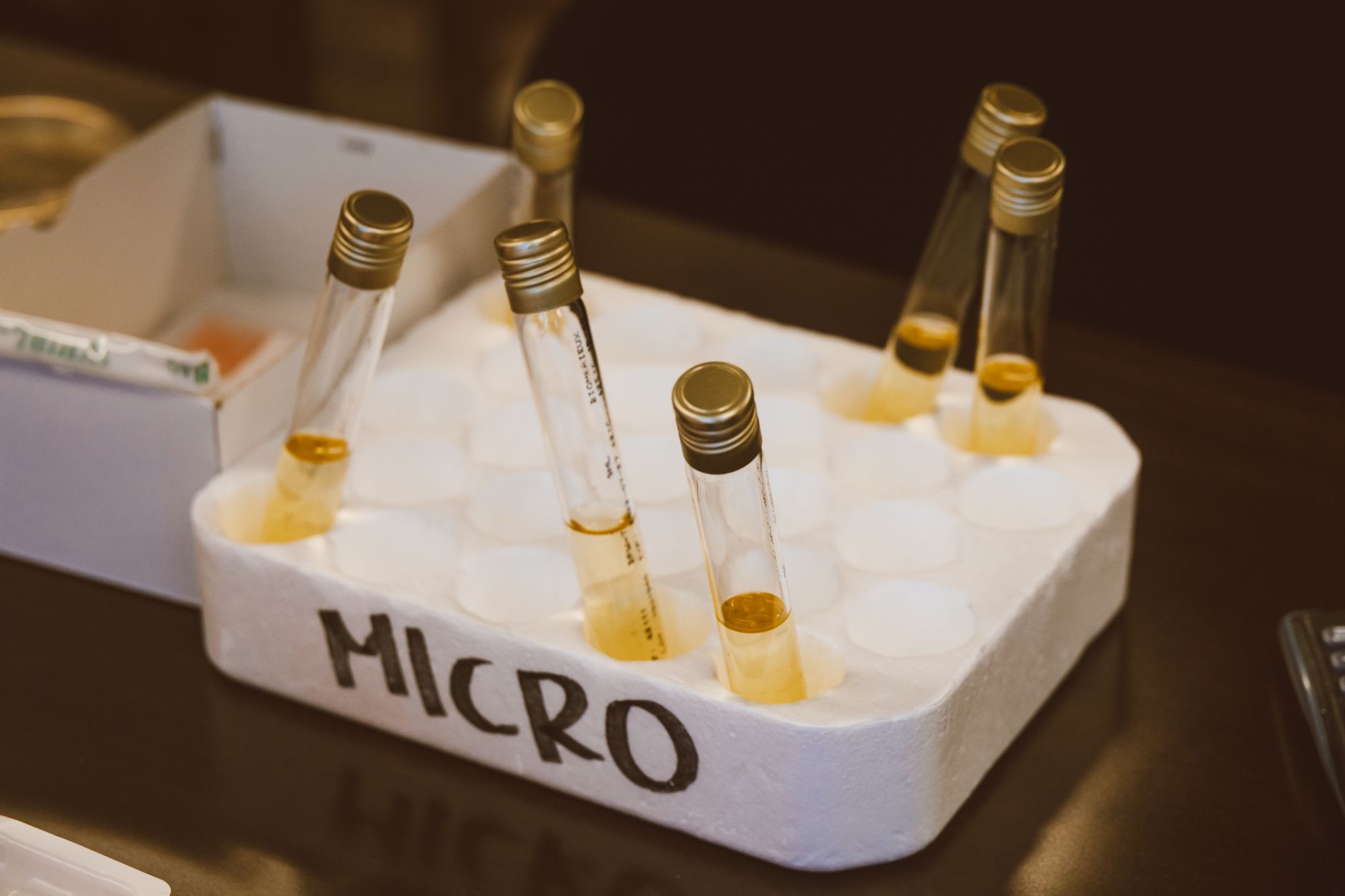 échantillons de laboratoire sur portoir